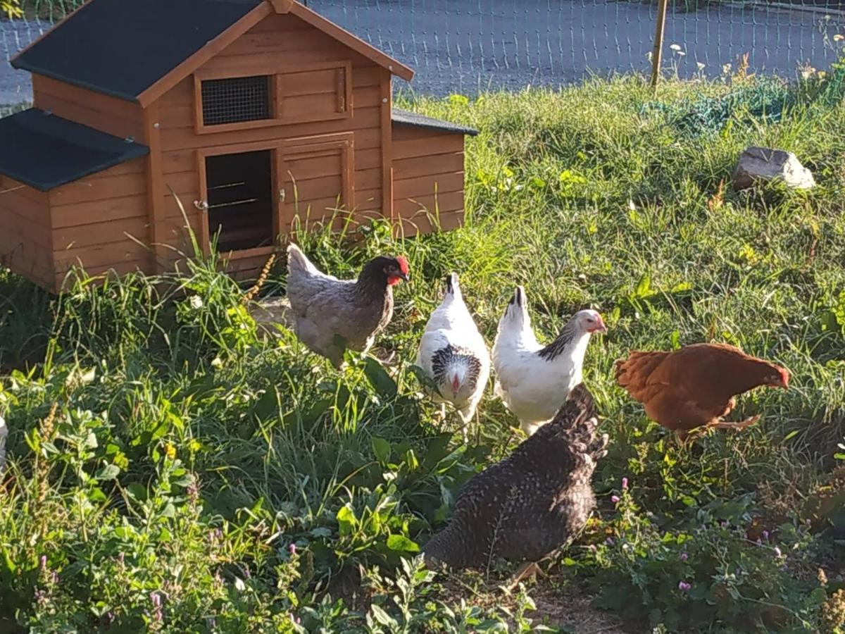 Maison D'Hotes Des Bassins D'Oche Saint-Paul-en-Chablais Zewnętrze zdjęcie