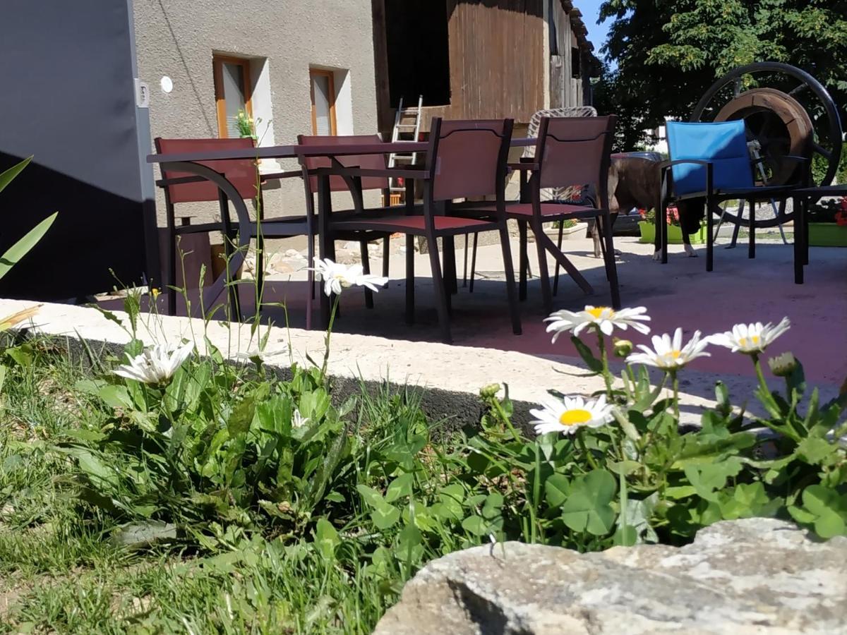 Maison D'Hotes Des Bassins D'Oche Saint-Paul-en-Chablais Zewnętrze zdjęcie